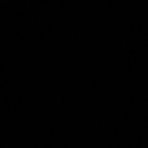 Meet your Posher, Cody